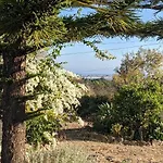 Bela Vista Retreat Yoga & Wellness