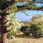 Bela Vista Retreat Yoga & Wellness