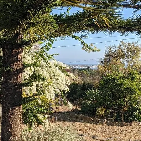 Bela Vista Retreat Yoga & Wellness