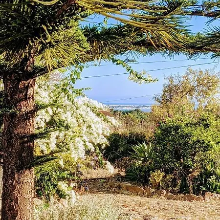 Bela Vista Retreat Yoga & Wellness