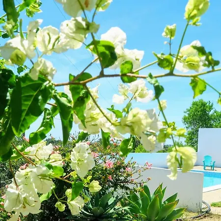 Bed & Breakfast Bela Vista Retreat Yoga & Wellness *