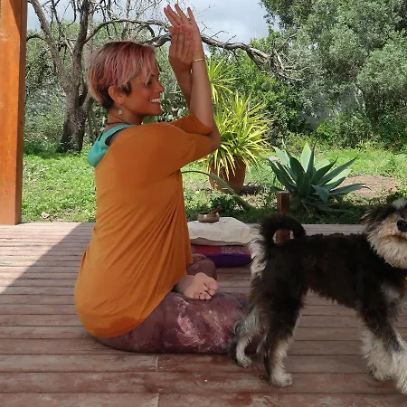 Alojamento de Acomodação e Pequeno-almoço Bela Vista Retreat Yoga & Wellness *
